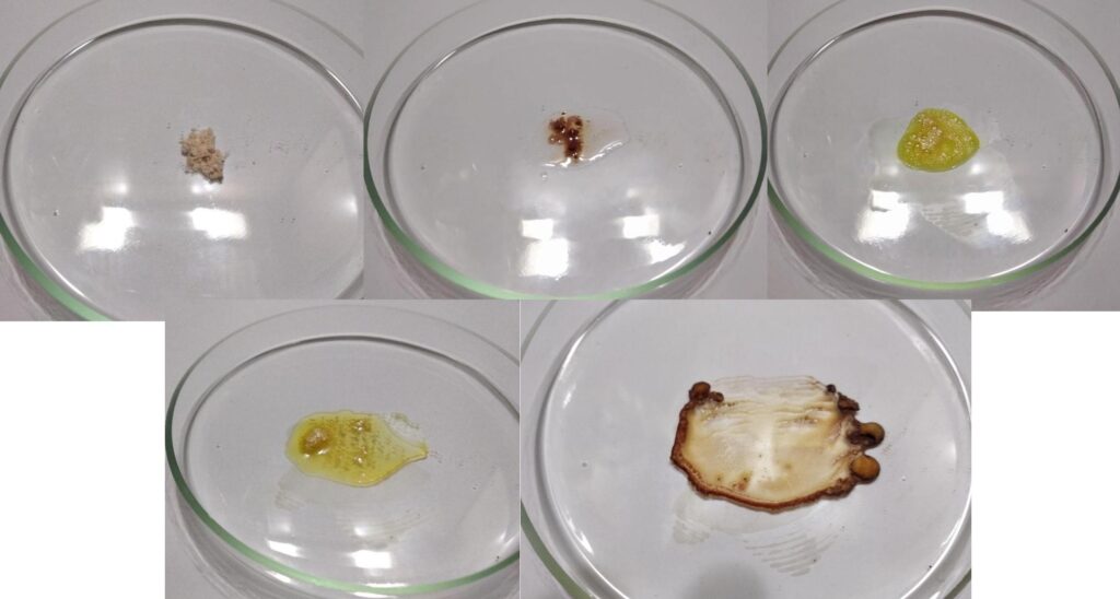 Amphetamine Replaced by Caffeine.