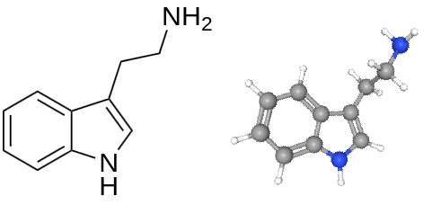 Tryptamine structural formula