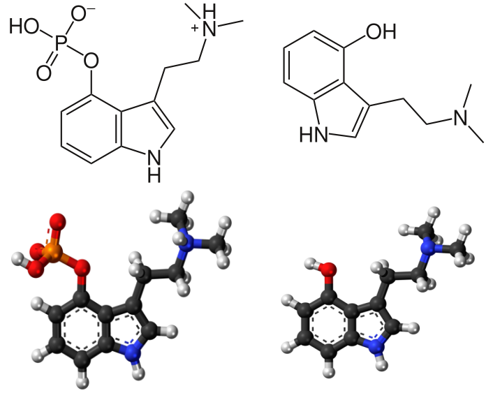 Psilocybin and Psilocin Structures