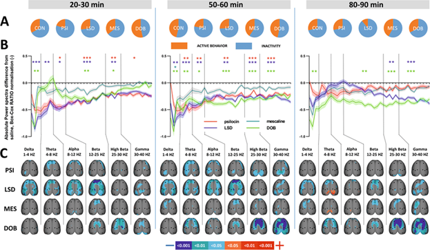 The effects of treatments on EEG power spectra in three-time epochs.