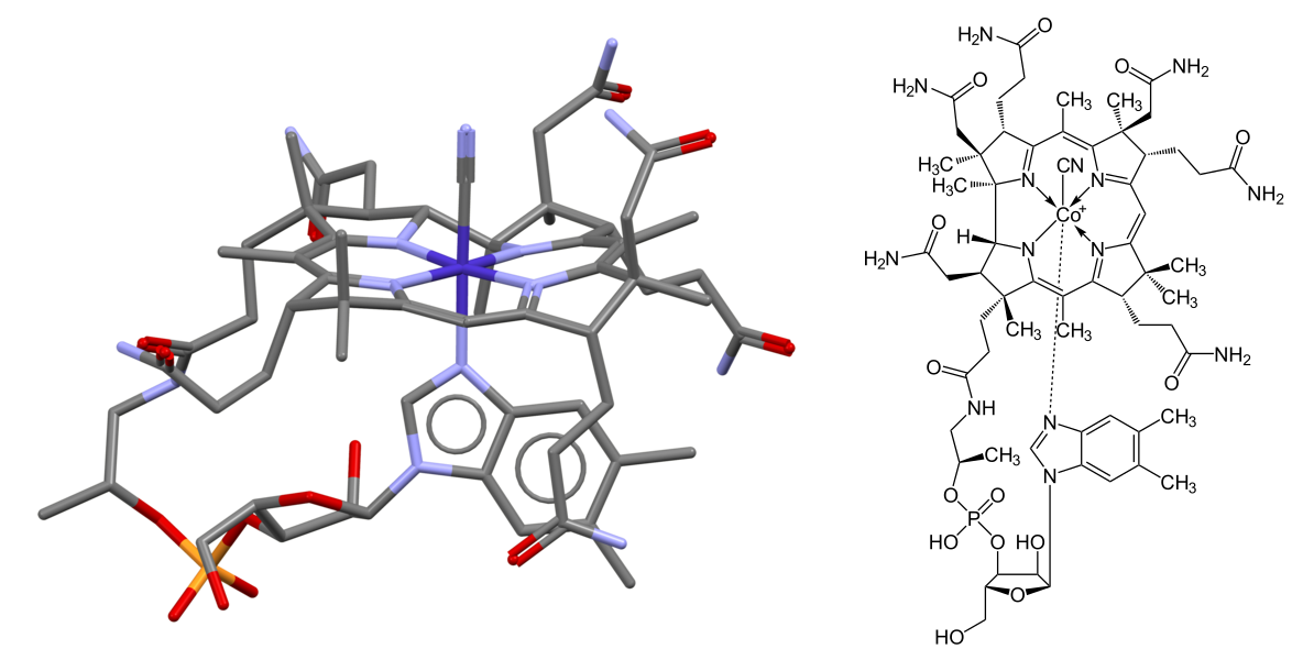 Vitamin B12 (Cobalamin) Properties, Reactions and Applications Safrole