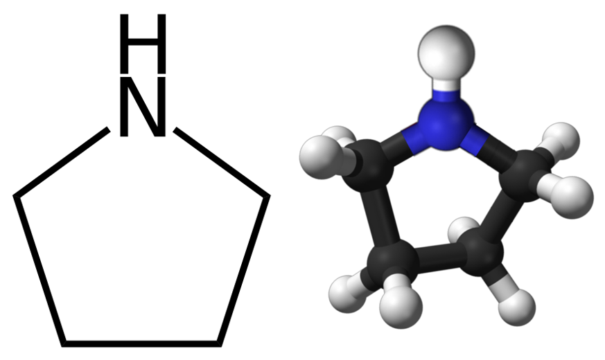 Structural formula of pyrrolidine