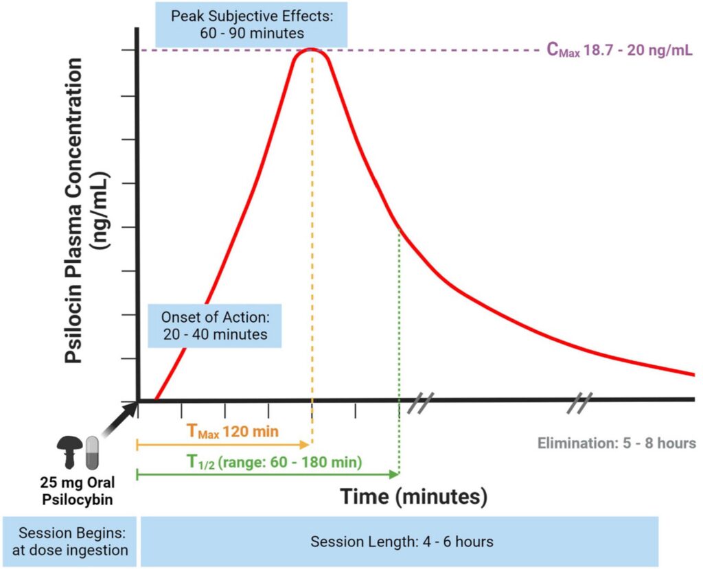 Chart of dependence Psilocin plasma concentration and time