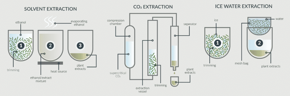 Extraction methods of cannabidiol