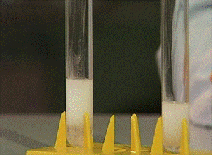 Precipitate formation. Amphetamine Salts.