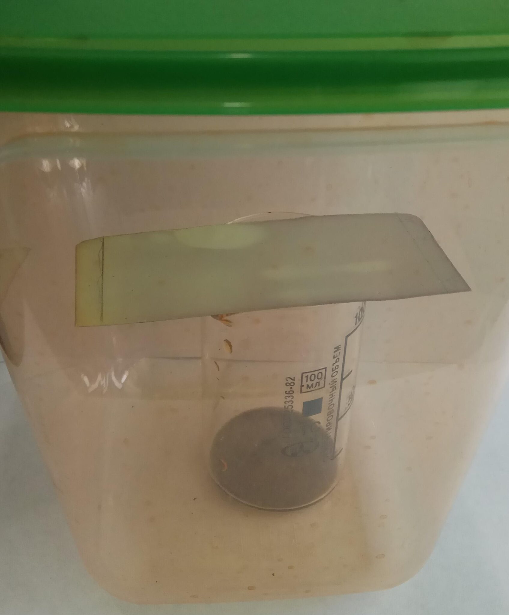 Thinlayer Chromatography (TLC)