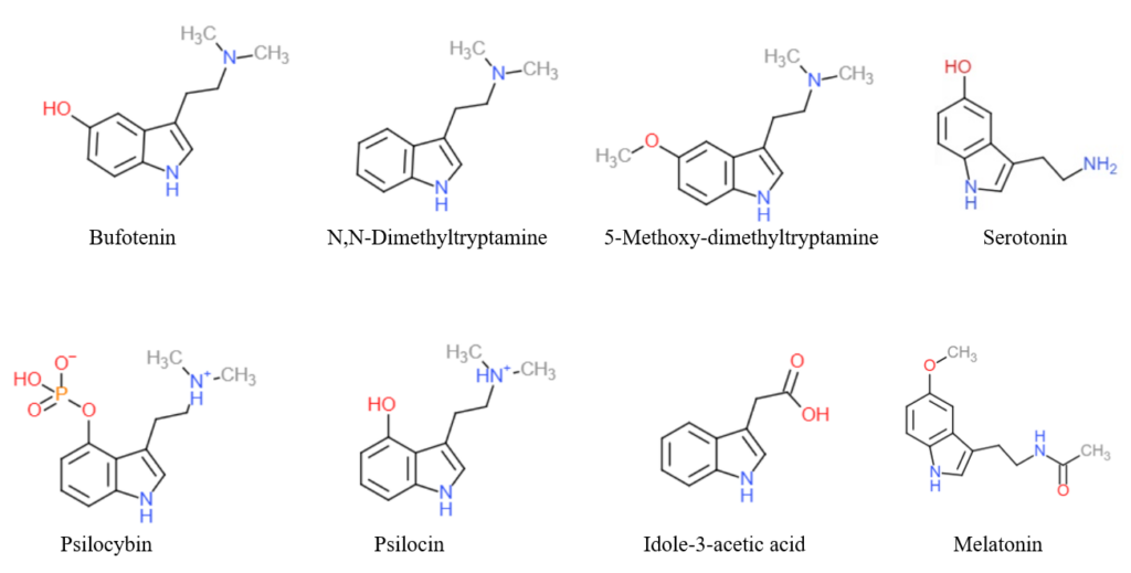 Tryptamine derivatives