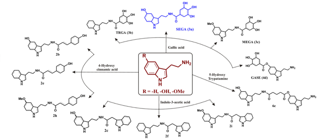 General scheme for the synthesis of tryptamine derivatives