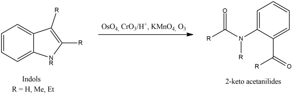 fischer indole synthesis experiment