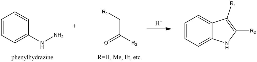 fischer indole synthesis experiment