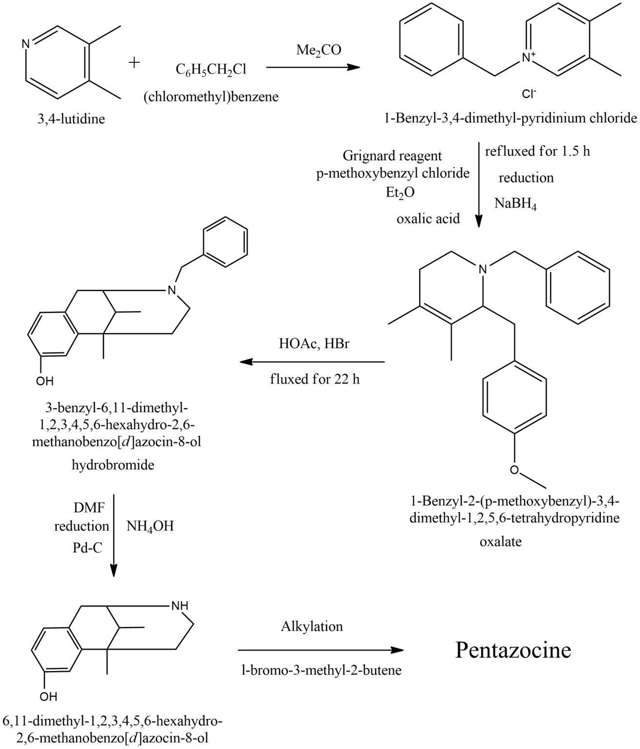 Exploring the Opioid Effects of Pentazocine Safrole