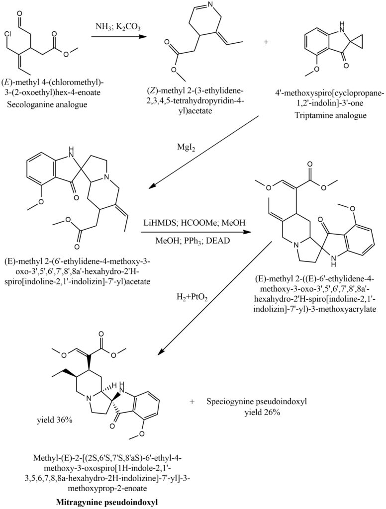 Figure 4. General scheme of Mitragynine pseudoindoxyl synthesis