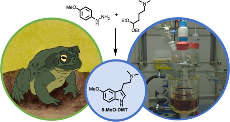 5-MeO-DMT: The Toad and Jaguar Connection in Psychedelic Chemistry ...